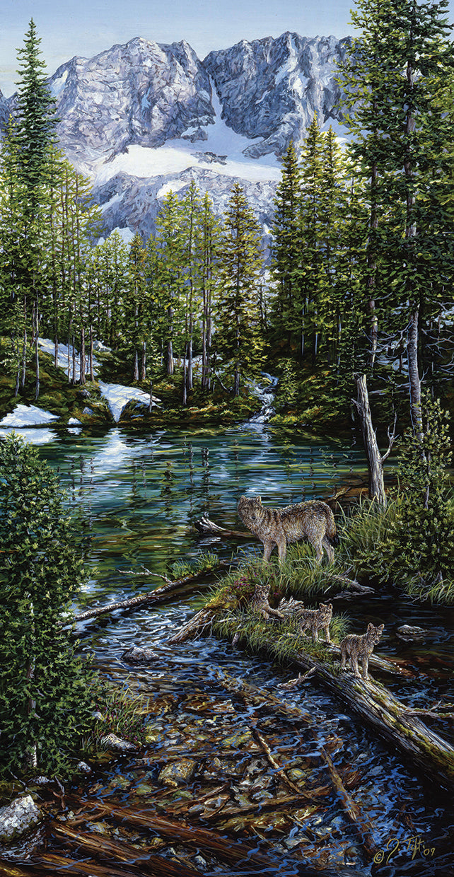 wilderness-family-jeff-tift