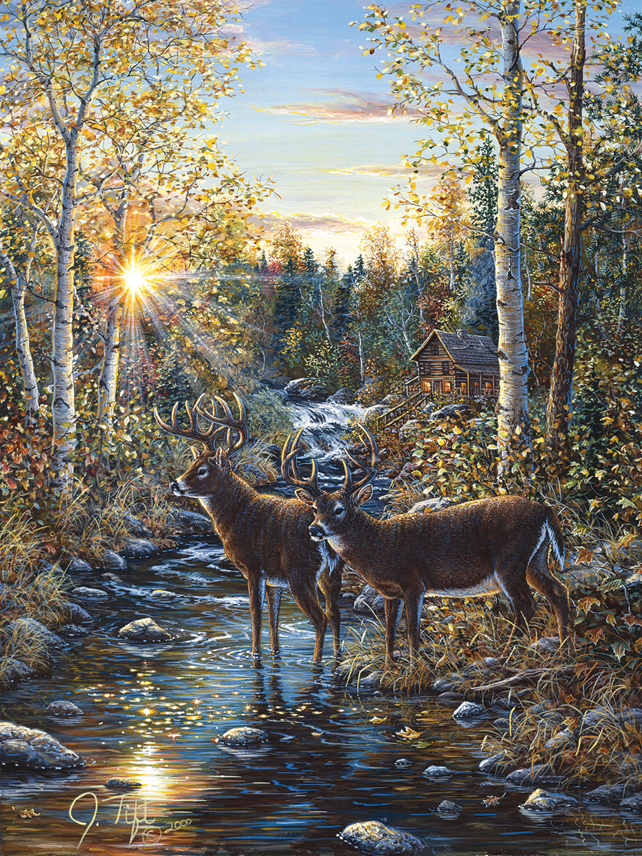 Whitetail Deer