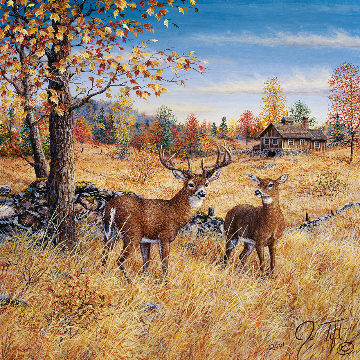 Colors Of Autumn