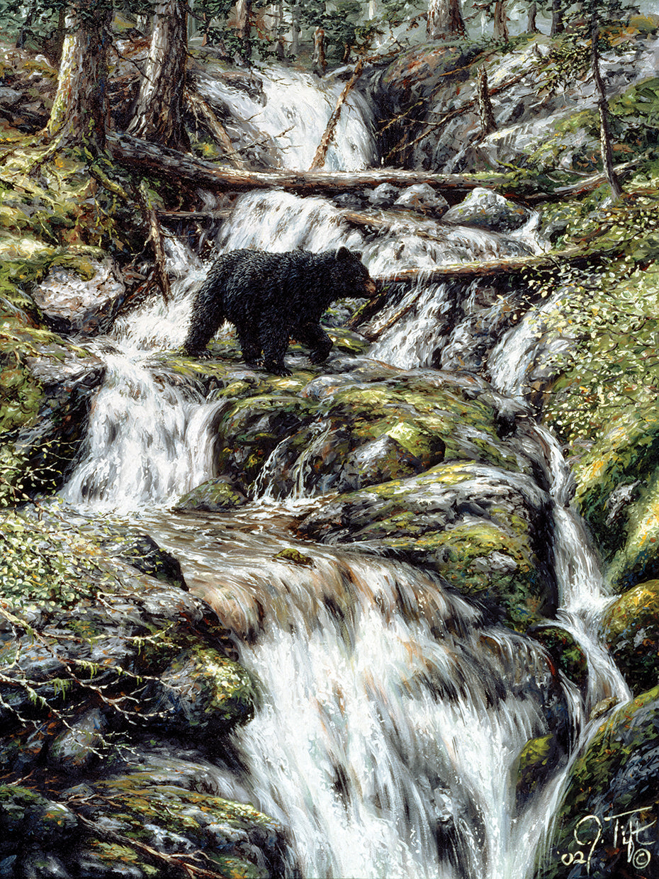 Bear Creek Crossing
