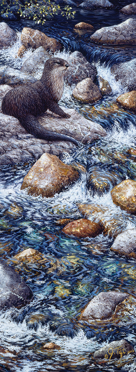 River Otter 2