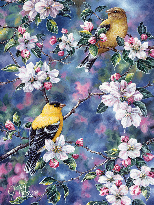 Gold Finch & Blossoms Canvas Print