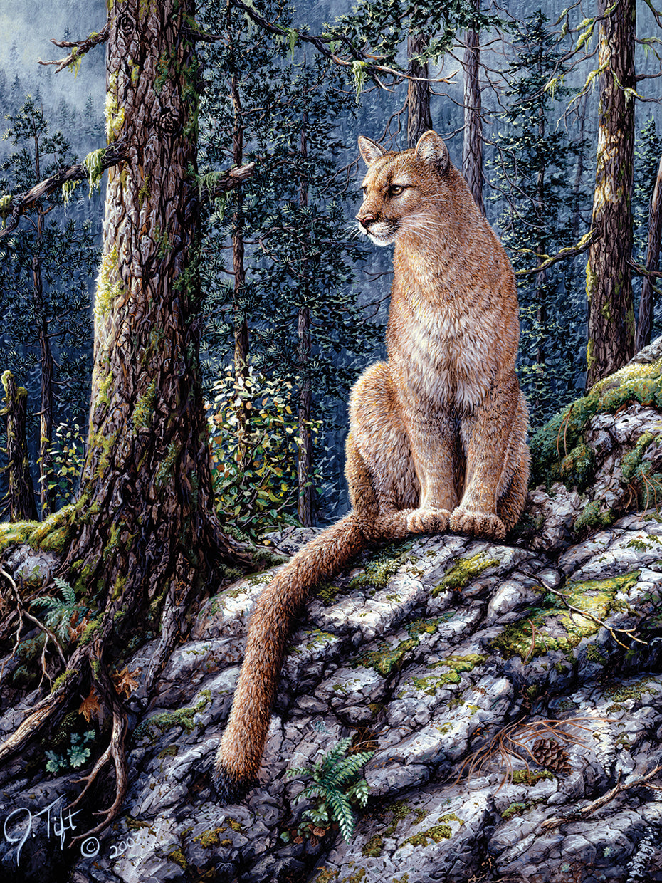 King Of The Forest
