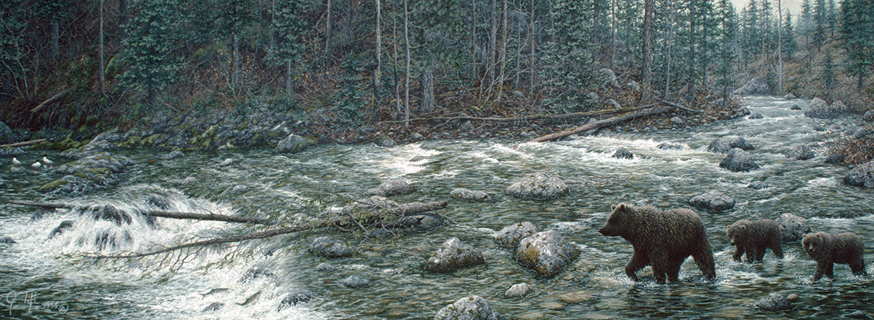 Cool Creek