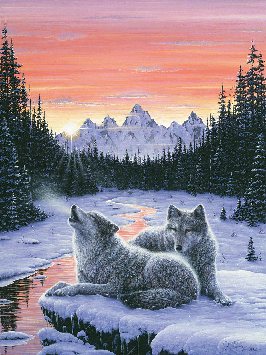 Winter’s Dawn