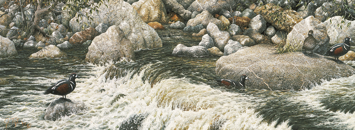 Swift Water