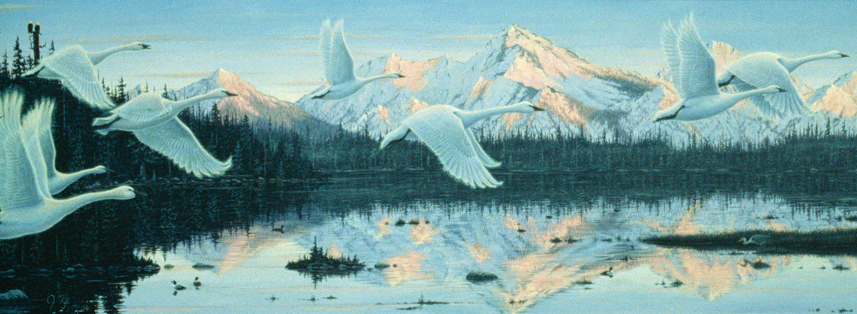 Northern Flight