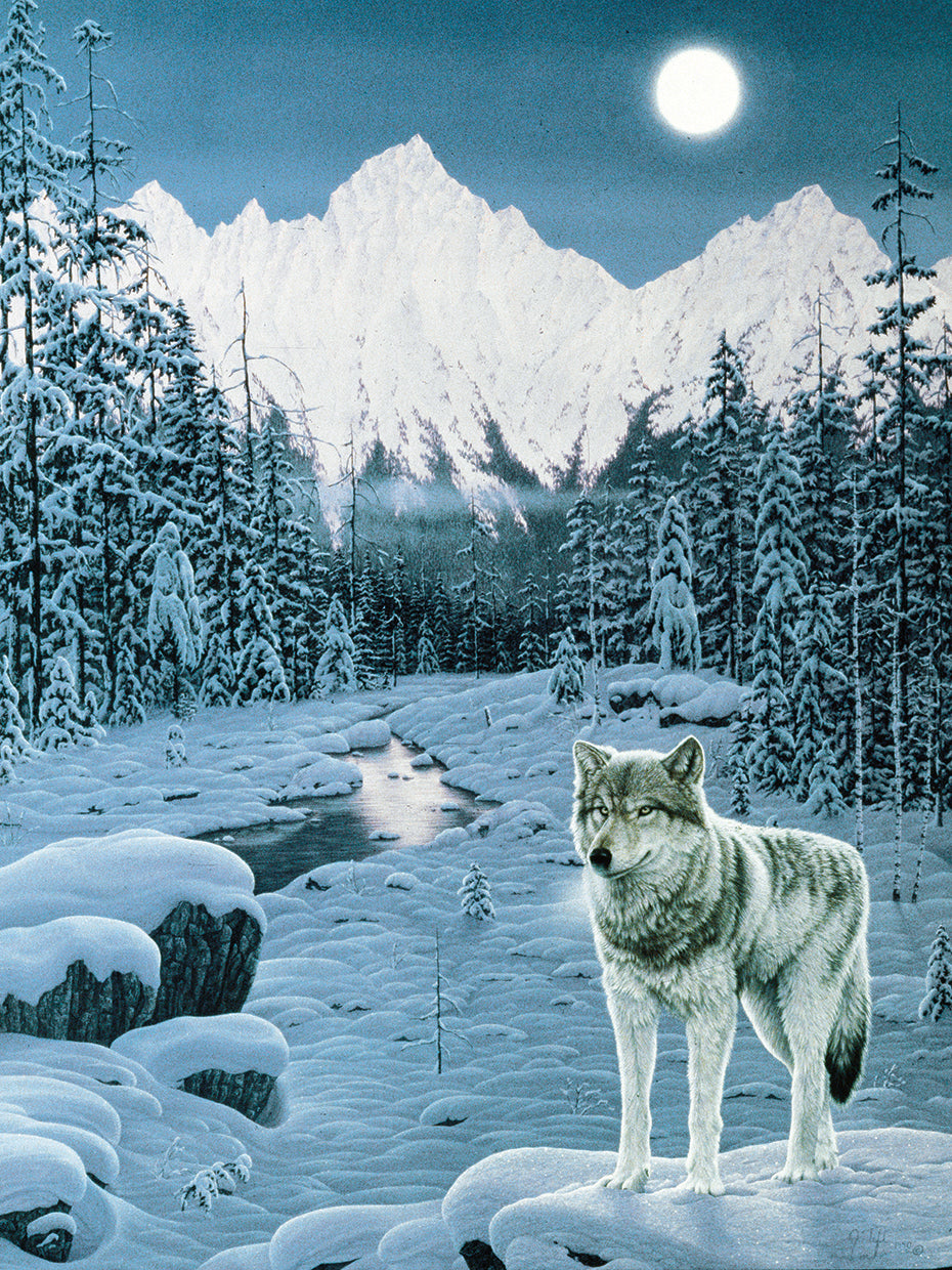 Winter Twilight