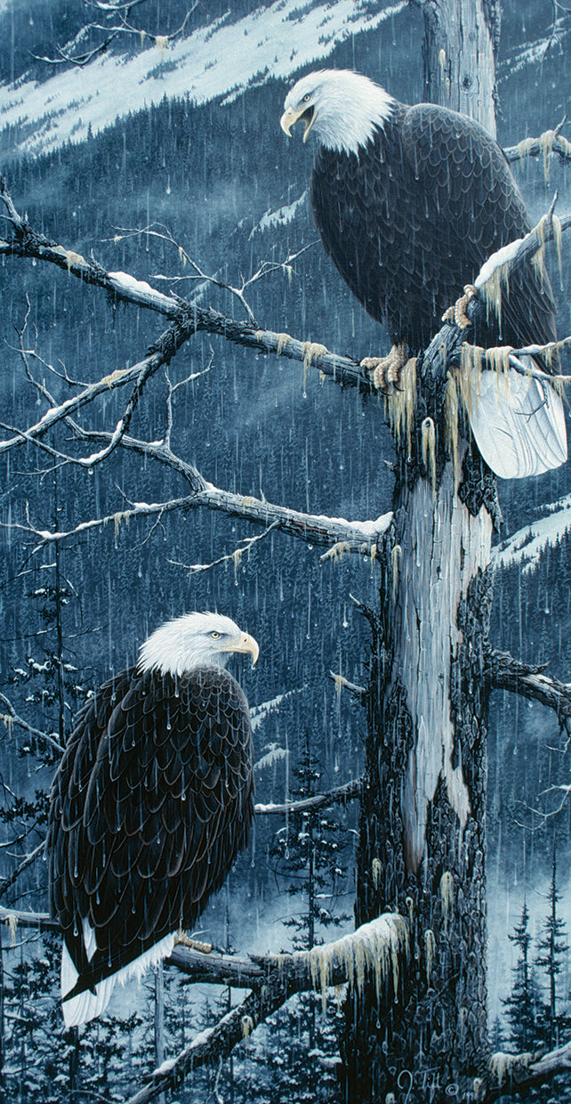 another-rainy-day-jeff-tift