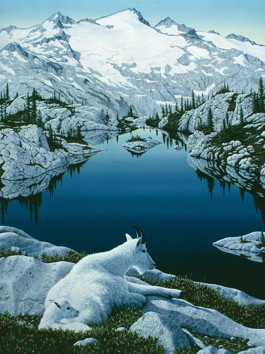 Cascade Summer
