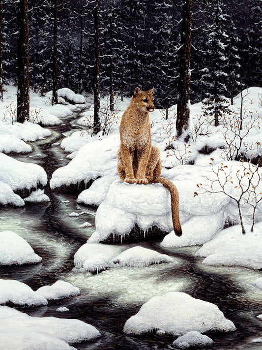Cougar Canvas Art