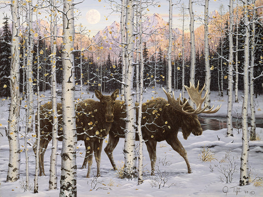 Forest Twilight Canvas Art