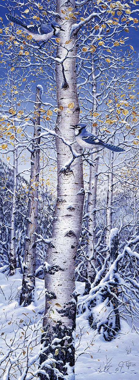 Blue Jay Canvas Art