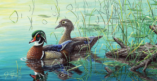 Wood Ducks Canvas Art
