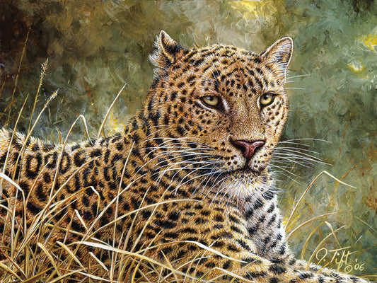 Leopard Portrait Canvas Art