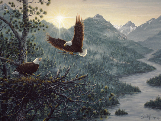 Eagles Nest Canvas Art