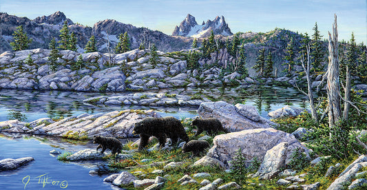 Black Bear Canvas Art