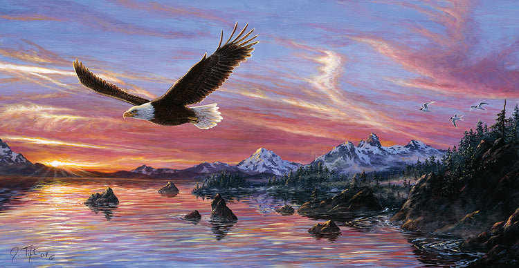 Silent Wings Of Freedom