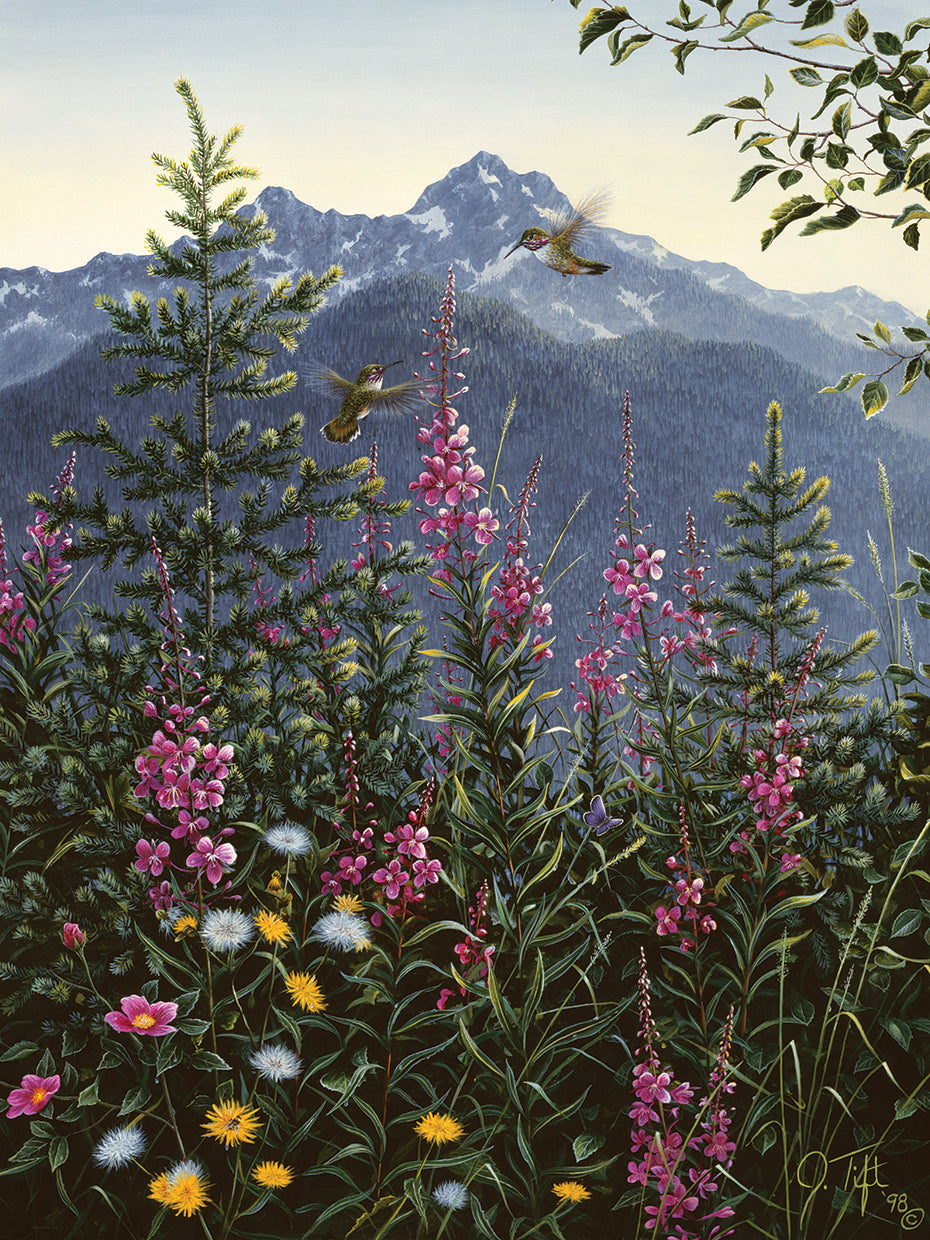 Hummingbirds