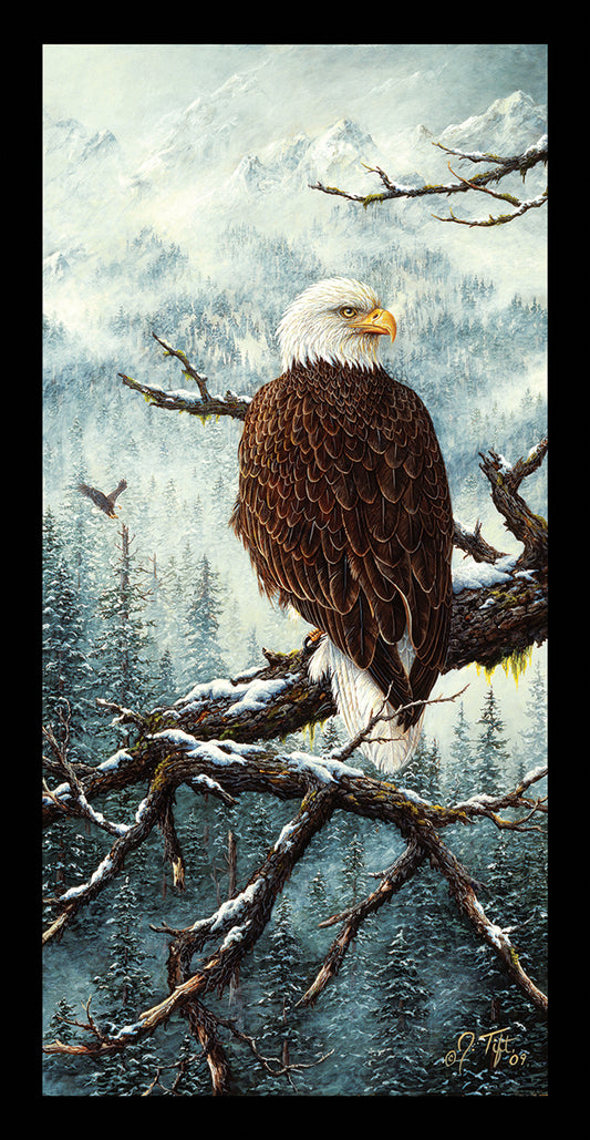 Eagle Rest Canvas Print