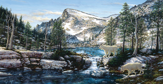 Summer In The Enchantments Canvas Art