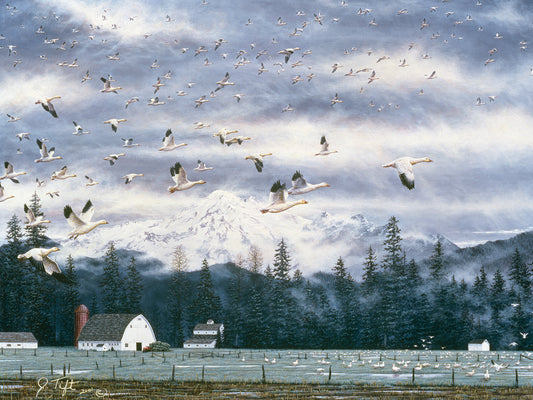 Geese Flying Over Farmland Canvas Art
