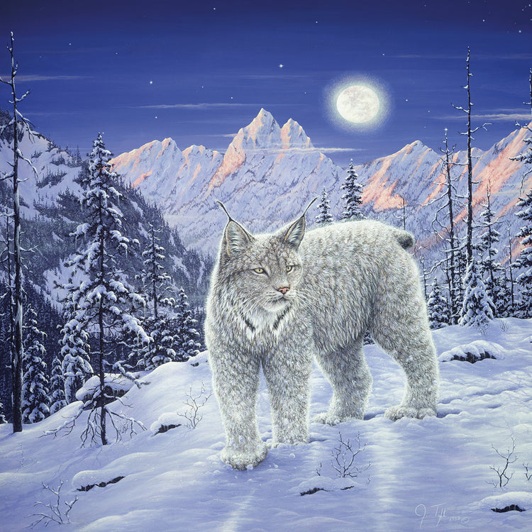Arte de la lona del desierto de la luz de la luna