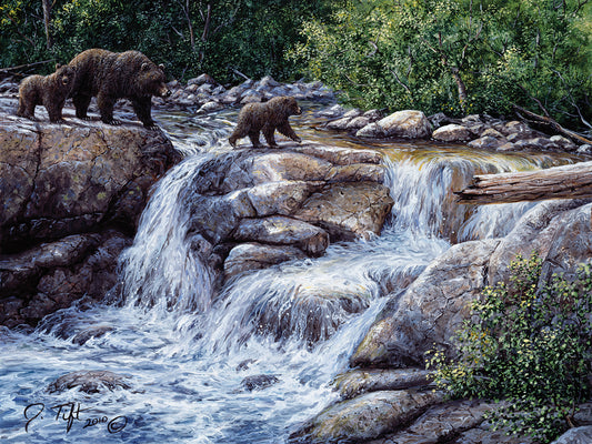 Entiat Falls-Grizzly Family Canvas Art