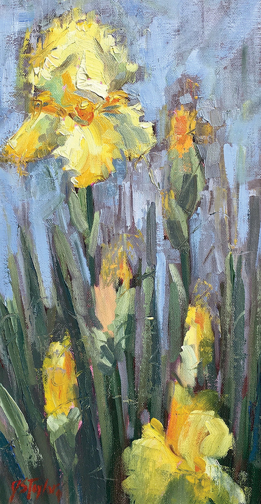 Yellow Iris And Co by Jennifer Stottle Taylor - top quality wall art work on large canvas & framed canvas prints