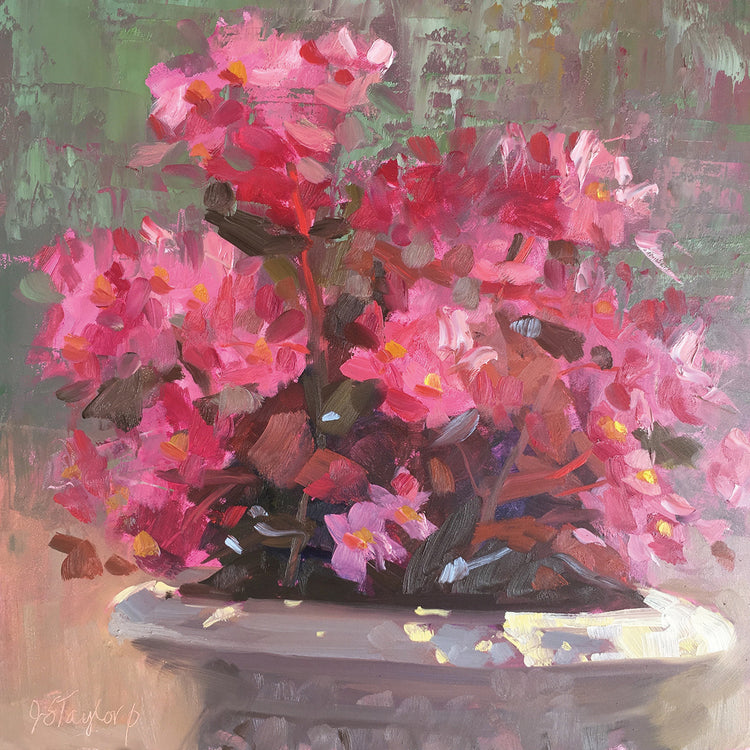 Bridgitt's Begonias by Jennifer Stottle Taylor - larger sizes handcrafted wall art work on large canvas & framed canvas prints