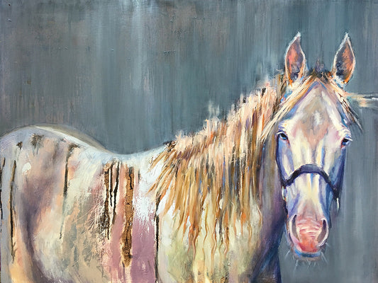 Cremello by Jennifer Stottle Taylor - top quality wall art work on large canvas & framed canvas prints