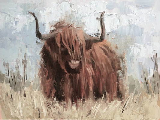 Scottish Highland Bull B by Jennifer Stottle Taylor . Multiple sizes to choose from and many different frame colors. - lowest price wall art work on large canvas & framed canvas prints