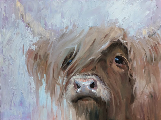 Scottish Highland Cutie by Jennifer Stottle Taylor - larger sizes handcrafted wall art work on large canvas & framed canvas prints