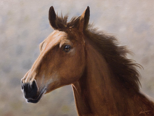 Brown Horse Portrait Canvas Art
