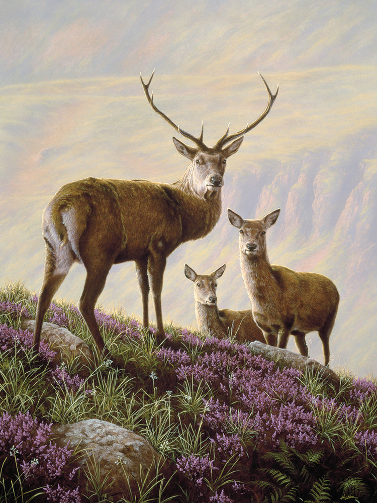 Deer Family