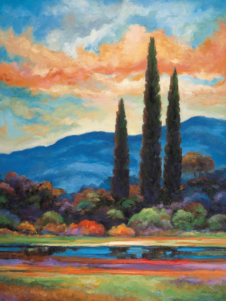 The Heart Of Provence