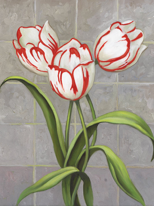 Red-Striped Tulips Canvas Art