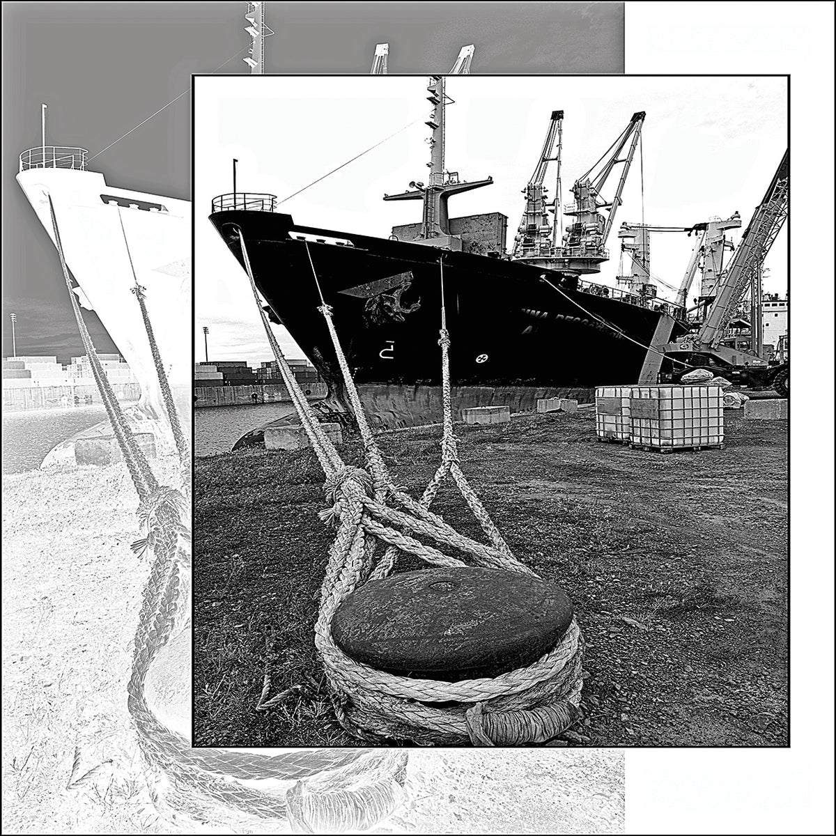 B&W Boat