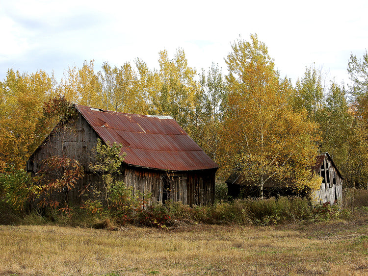 Old Barn Photography
