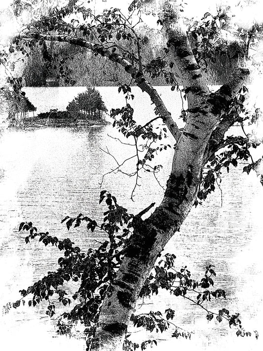 B&W Tree on Lake Canvas Art