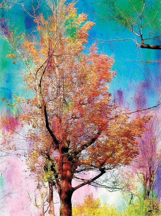 Pastel Autumn Tree Canvas Art