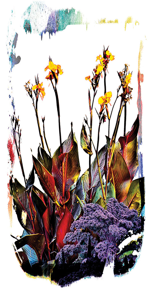 Colorful Nature Canvas Print