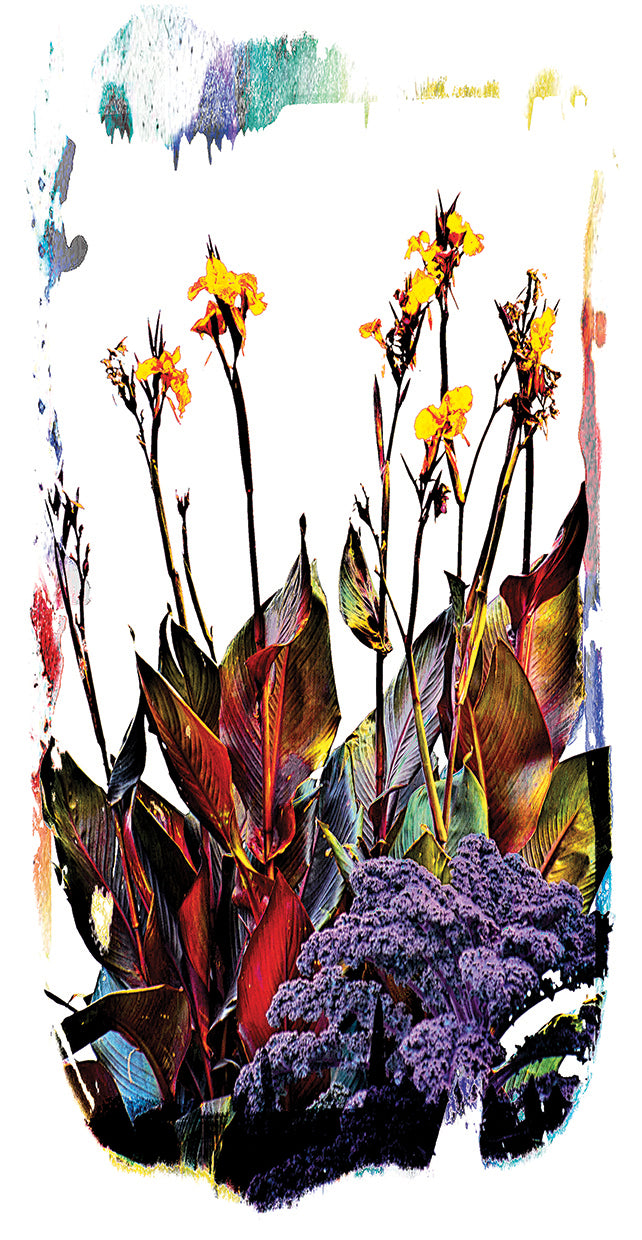 colorful-nature-the-lieberman-collection
