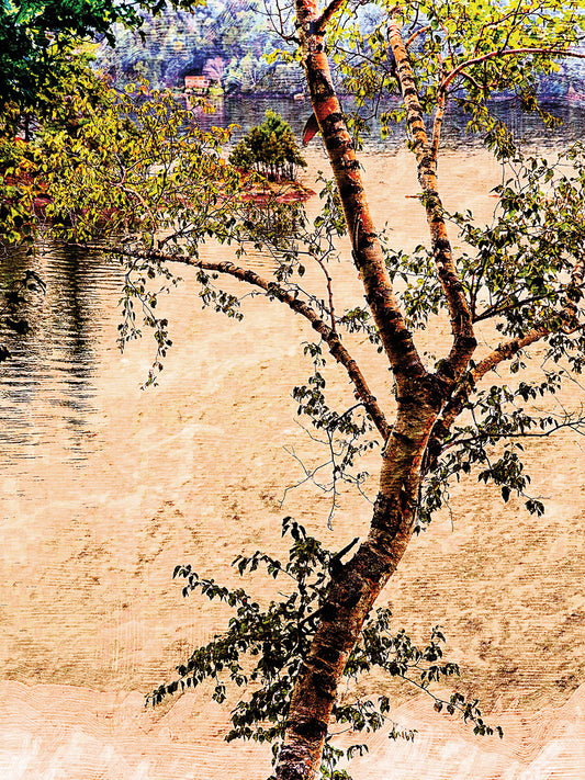 Color Tree on Lake Canvas Art