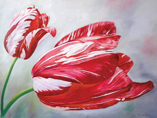 English Tulips Canvas Art
