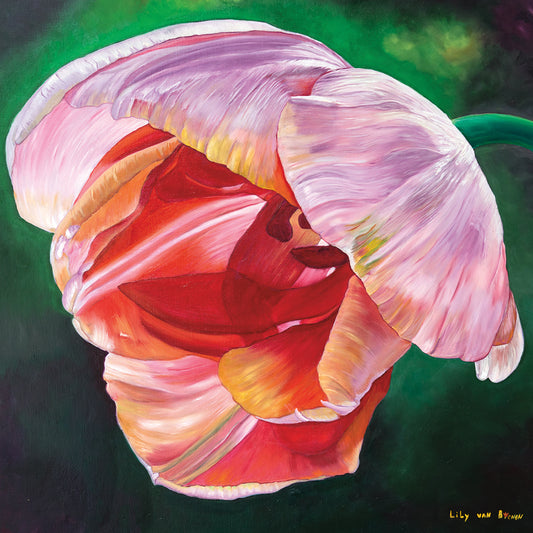 Lit Tulip 2 Canvas Art