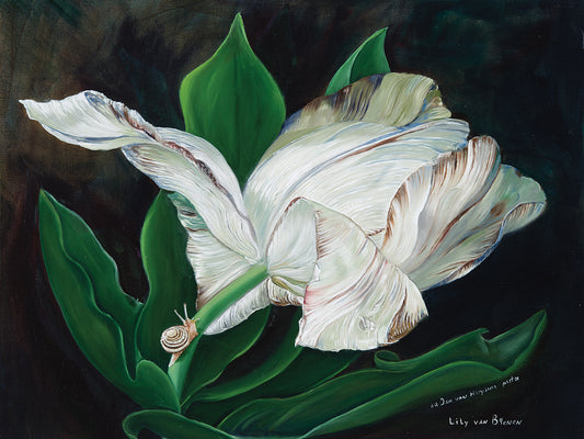 Gletcher Tulip Canvas Art