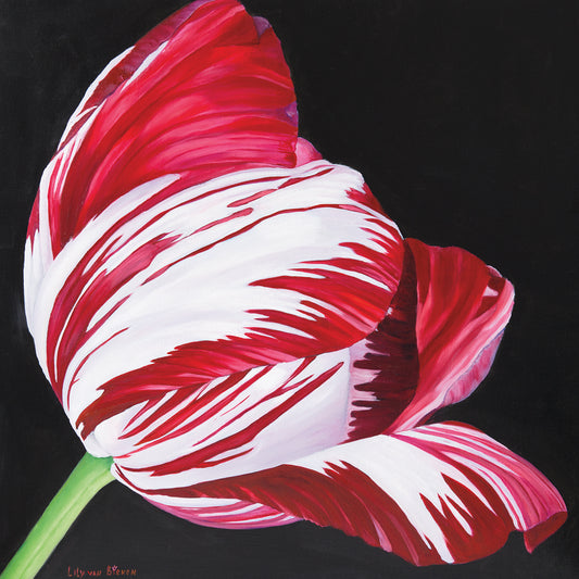 Broken Tulip Canvas Art
