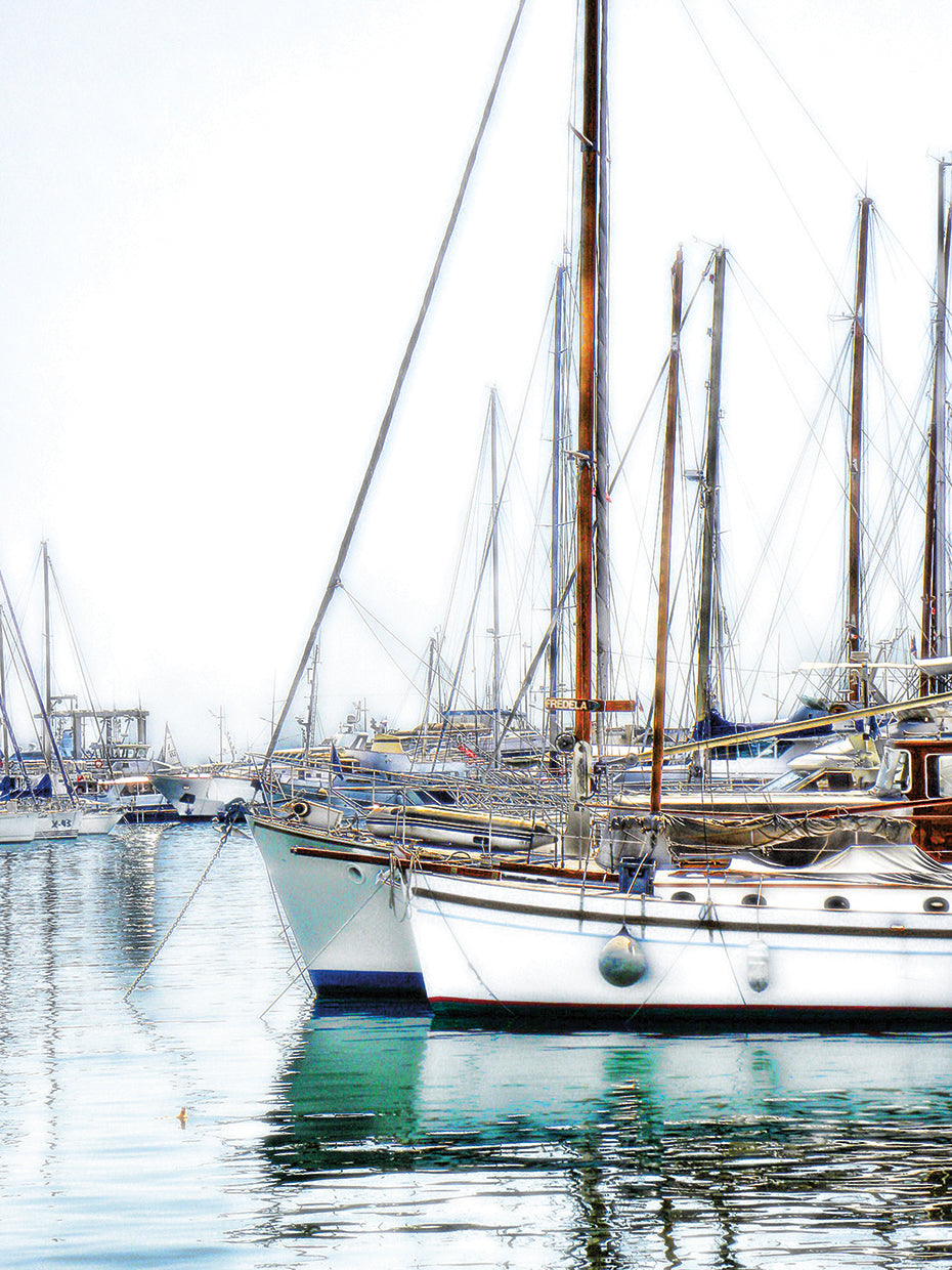 Trip Boats