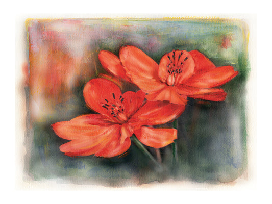 Flower 02 Canvas Prints